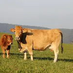 Urlaub Am Bio-bauernhof Liebchen *