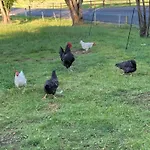 Urlaub Am Bio-bauernhof Liebchen * Zeutschach