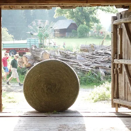 Alloggio per agriturismo Urlaub Am Bio-bauernhof Liebchen Zeutschach