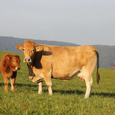 Urlaub Am Bio-bauernhof Liebchen *