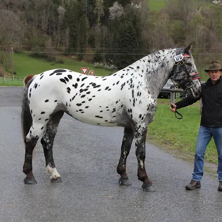 Urlaub Am Bio-bauernhof Liebchen Zeutschach