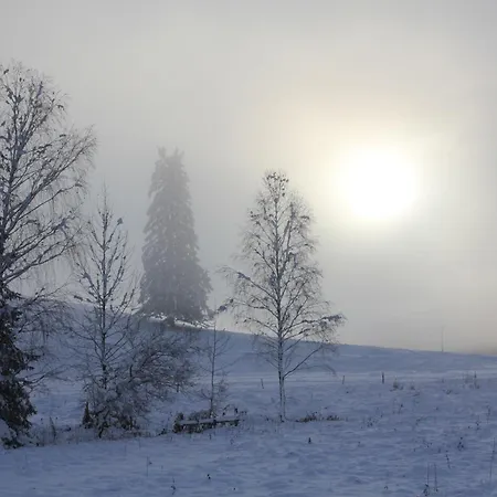 Urlaub Am Bio-bauernhof Liebchen Feriegård Zeutschach