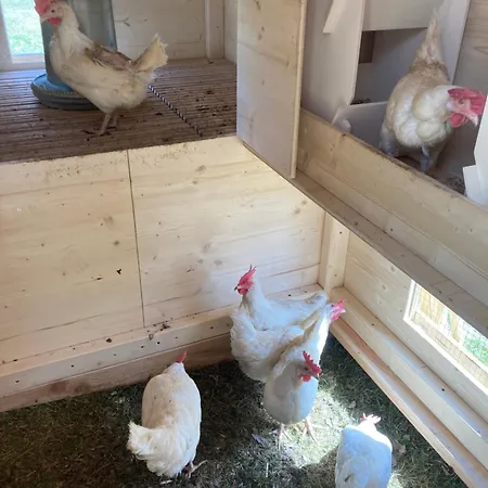 Urlaub Am Bio-bauernhof Liebchen *