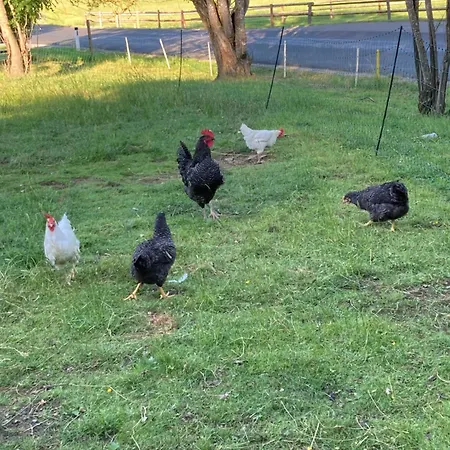 Urlaub Am Bio-bauernhof Liebchen * Zeutschach