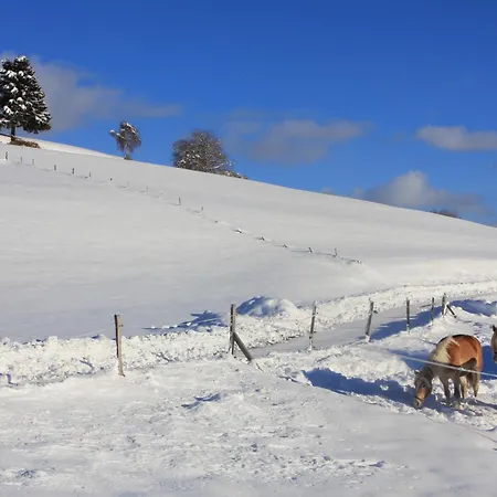 Urlaub Am Bio-bauernhof Liebchen