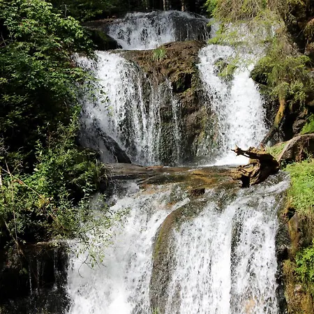 Urlaub Am Bio-bauernhof Liebchen