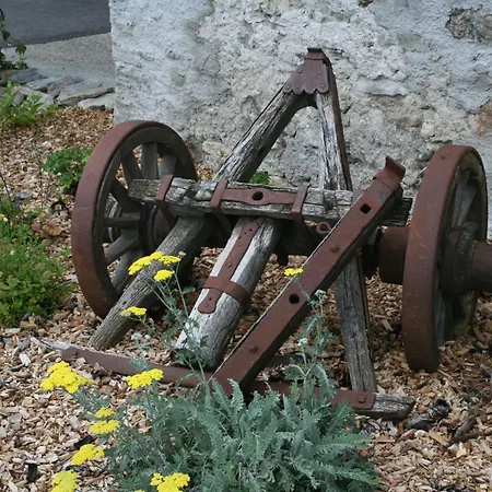 Urlaub Am Bio-bauernhof Liebchen *