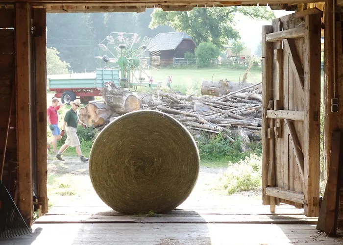 Alloggio per agriturismo Urlaub Am Bio-bauernhof Liebchen Zeutschach