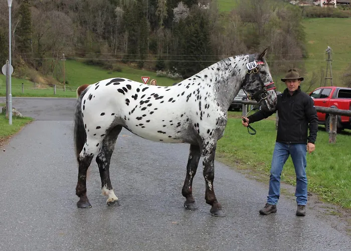 Urlaub Am Bio-bauernhof Liebchen Zeutschach