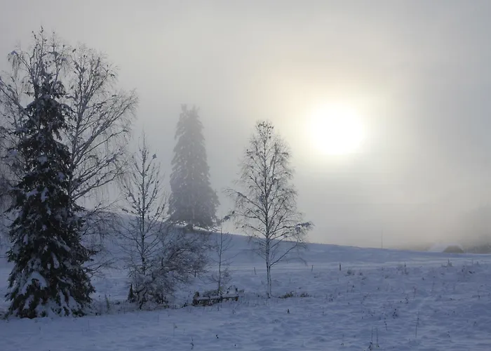 Urlaub Am Bio-bauernhof Liebchen Lantgård Zeutschach