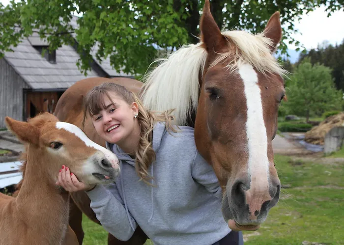 Urlaub Am Bio-bauernhof Liebchen Vakantieboerderij Zeutschach