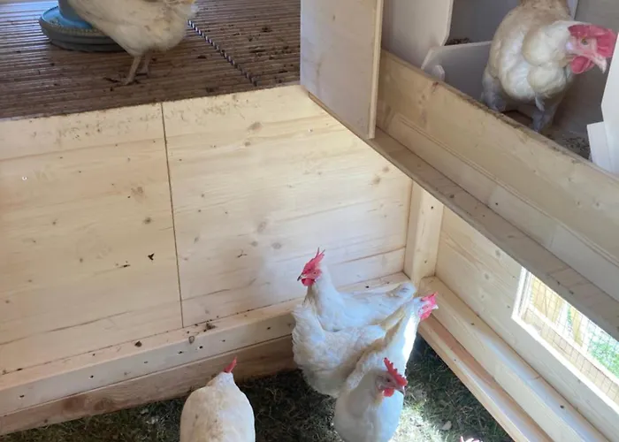 Urlaub Am Bio-bauernhof Liebchen *