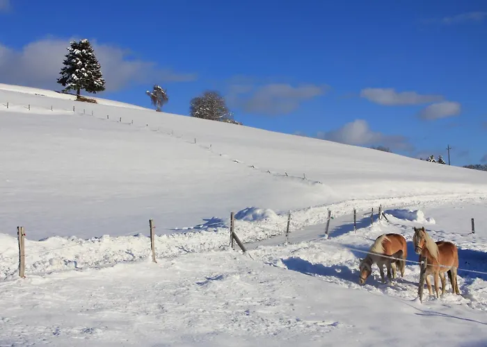 Urlaub Am Bio-bauernhof Liebchen