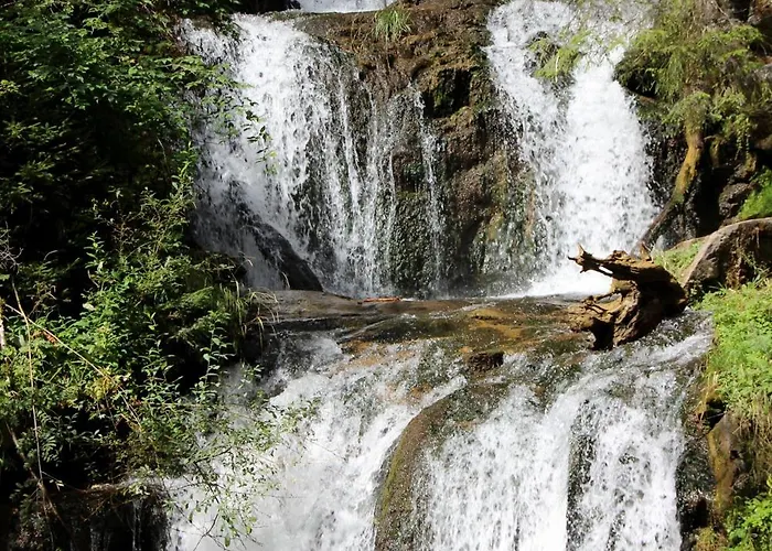 Urlaub Am Bio-bauernhof Liebchen